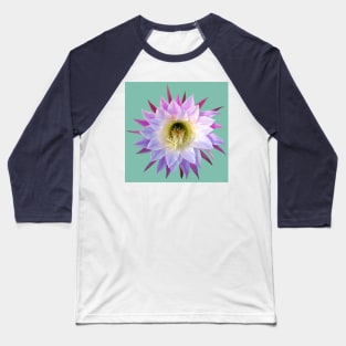 Cactus Flower on teal Baseball T-Shirt